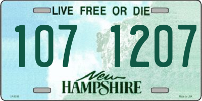 NH license plate 1071207