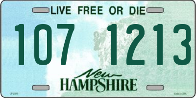 NH license plate 1071213