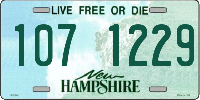 NH license plate 1071229