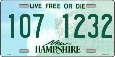 NH license plate 1071232