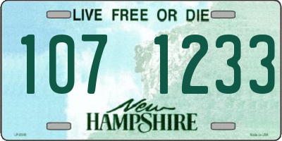 NH license plate 1071233