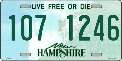 NH license plate 1071246