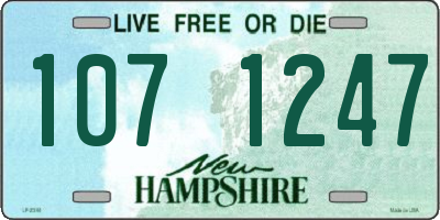 NH license plate 1071247