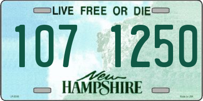 NH license plate 1071250