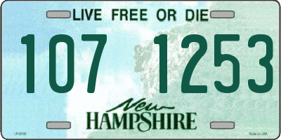 NH license plate 1071253