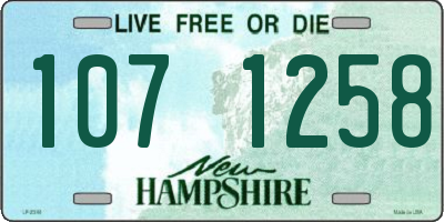 NH license plate 1071258