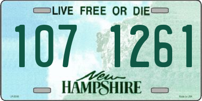 NH license plate 1071261