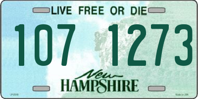 NH license plate 1071273