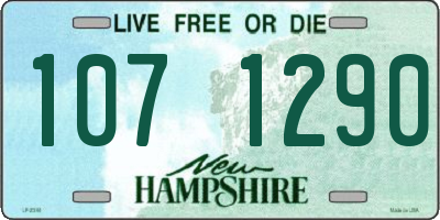 NH license plate 1071290