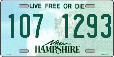 NH license plate 1071293