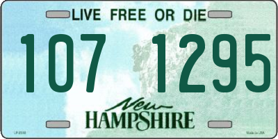 NH license plate 1071295