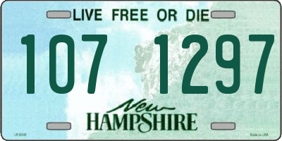 NH license plate 1071297