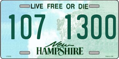 NH license plate 1071300