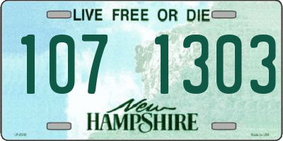 NH license plate 1071303