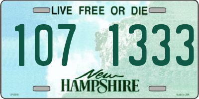 NH license plate 1071333