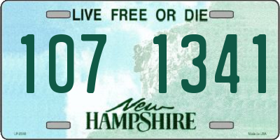 NH license plate 1071341
