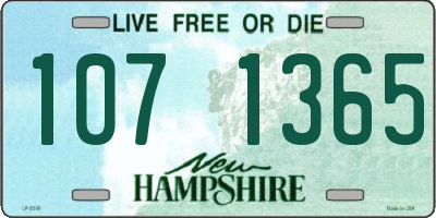NH license plate 1071365
