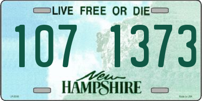 NH license plate 1071373