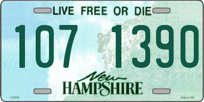 NH license plate 1071390