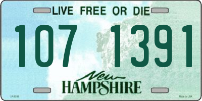 NH license plate 1071391