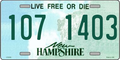 NH license plate 1071403