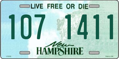 NH license plate 1071411