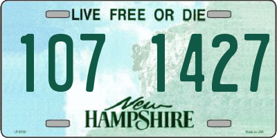 NH license plate 1071427