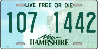 NH license plate 1071442