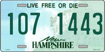 NH license plate 1071443