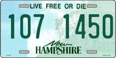 NH license plate 1071450