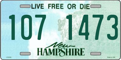 NH license plate 1071473