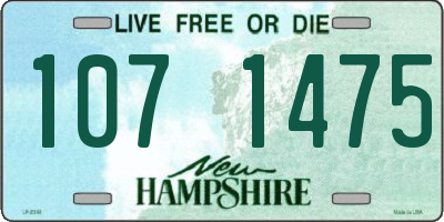 NH license plate 1071475
