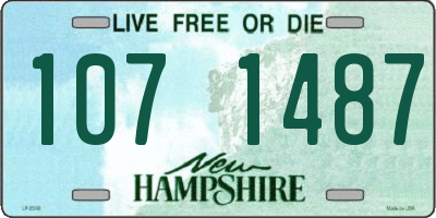 NH license plate 1071487