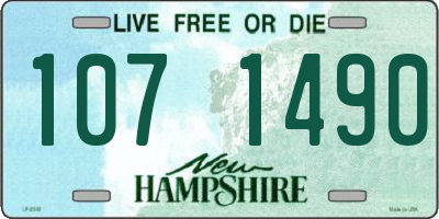 NH license plate 1071490