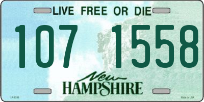 NH license plate 1071558