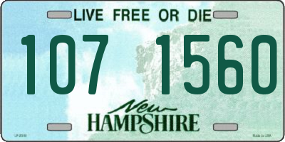 NH license plate 1071560