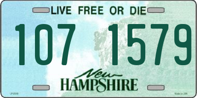 NH license plate 1071579