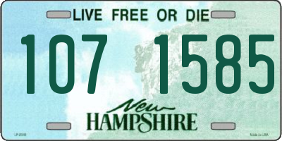 NH license plate 1071585