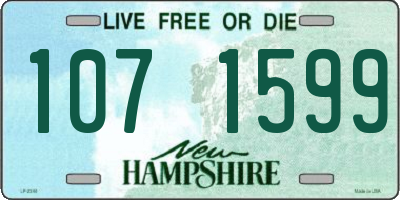 NH license plate 1071599