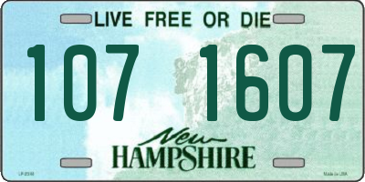 NH license plate 1071607
