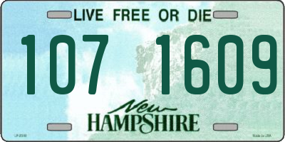 NH license plate 1071609