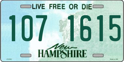 NH license plate 1071615