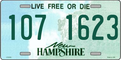 NH license plate 1071623
