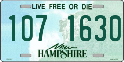 NH license plate 1071630