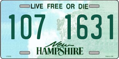 NH license plate 1071631