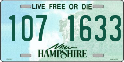 NH license plate 1071633