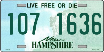 NH license plate 1071636