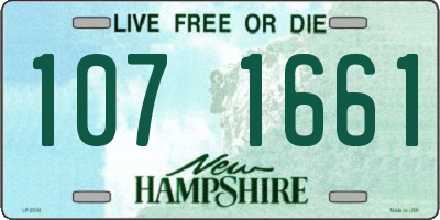 NH license plate 1071661