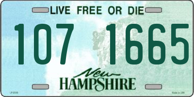 NH license plate 1071665