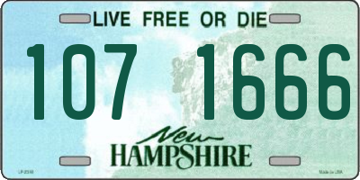NH license plate 1071666